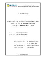 Nghiên cứu ảnh hưởng của một số điều kiện nuôi cấy lên sự sinh trưởng cây lan vũ nữ (oncidium sp ) in vitro 