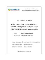Hoàn thiện quy trình sản xuất chế phẩm diệt sâu từ dịch nuôi cấy vi khuẩn serratia marcescens HB  