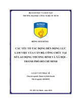 Các yếu tố tác động đến động lực làm việc của cán bộ, công chức tại sở lao động thương binh và xã hội – thành phố hồ chí minh 