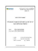 Ứng dụng vi khuẩn lên men lactic xử lý hạt giống đậu phộng 