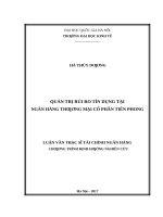 Quản trị rủi ro tín dụng tại ngân hàng thương mại cổ phần tiên phong 