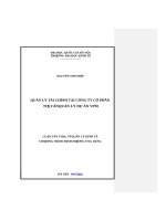 Quản lý tài chính tại công ty cổ phần tư vấn quản lý dự án VPM  hà nội 