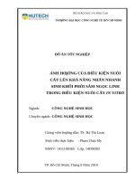 Ảnh hƣởng của điều kiện nuôi cấy lên sự nhân nhanh sinh khối phôi sâm ngọc linh trong nuôi cấy in vitro 