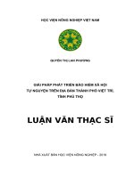 Giải pháp phát triển Bảo hiễm xã hội tự nguyện trên địa bàn thành phố Việt Trì, tỉnh Phú Thọ