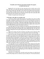 Trái phiếu xanh: Việt Nam trong nỗ lực bắt nhịp với kỷ nguyên tài chính xanh toàn cầu