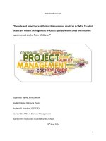 The role and importance of project management practices in SMEs 