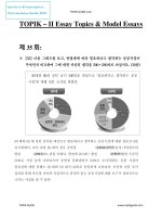 TOPIK essay writing topics  model essays