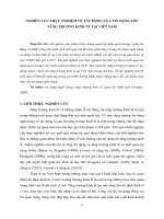 NGHIÊN CỨU THỰC NGHIỆM VỀ TÁC ĐỘNG CỦA TÍN DỤNG TỚI  TĂNG TRƯỞNG KINH TẾ TẠI VIỆT NAM