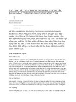 ỨNG DỤNG vật LIỆU CARBONCOR ASPHALT TRONG xây DỰNG và bảo TRÌ ĐƯỜNG GIAO THÔNG NÔNG THÔN 