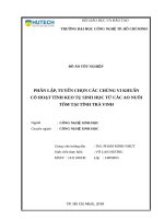 Phân lập, tuyển chọn các chủng vi khuẩn có hoạt tính keo tụ sinh học từ các ao nuôi tôm tại tỉnh trà vinh 