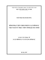 Hình phạt tiền theo pháp luật hình sự Việt Nam từ thực tiễn tỉnh Quảng Ninh