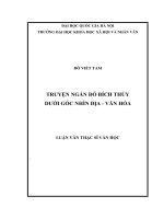 TRUYỆN NGẮN ĐỖ BÍCH THÚY DƯỚI GÓC NHÌN ĐỊA  VĂN HÓA