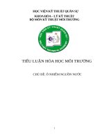 Tiểu luận hóa học môi trường: Ô nhiễm nguồn nước