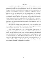 Thực trạng bạo lực gia đình giữa vợ và chống qua thực tiễn tạo Văn phòng Luật sư Hà Trọng Thắng và các cộng sự