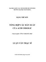 TỔNG HỢP CÁC DẪN XUẤT CỦA ACID URSOLIC