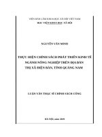 Thực hiện chính sách phát triển kinh tế ngành nông nghiệp trên địa bàn thị xã điện bàn, tỉnh quảng nam 