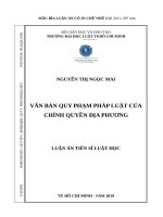 Văn bản quy phạm pháp luật của chính quyền địa phương 