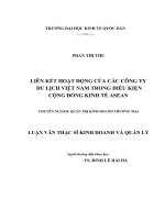 LUẬN VĂN THẠC SỸ - LIÊN KẾT HOẠT ĐỘNG CỦA CÁC CÔNG TY DU LỊCH VIỆT NAM TRONG ĐIỀU KIỆN CỘNG ĐỒNG KINH TẾ ASEAN