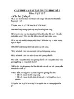 CÂU HỎI VÀ BÀI TẬP ÔN THI HỌC KÌ I MÔN VẬT LÍ 7