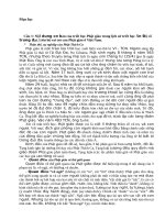 Một số câu hỏi môn triết học