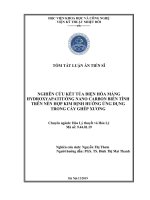 Nghiên cứu kết tủa điện hóa màng hydroxyapatit ống nano carbon biến tính trên nền hợp kim định hướng ứng dụng trong cấy ghép xương tt 