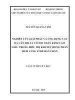 Nghiên cứu giải phẫu và ứng dụng vạt da - cân delta có nối thần kinh cảm giác trong điều trị khuyết hổng phần mềm vùng tì đè bàn chân
