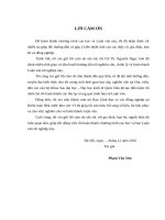 Luận văn thạc sỹ - Tăng cường tự chủ tài chính tại Kiểm toán Nhà nước khu vực VI