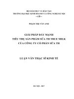 Luận văn thạc sỹ - Giải pháp đẩy mạnh tiêu thụ sản phẩm sữa TH True Milk của Công ty cổ phần sữa TH