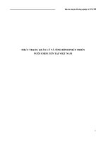 THỰC TRẠNG QUẢN lý và TÌNH HÌNH PHÁT TRIỂN NUÔI CHIM YẾN TẠI VIỆT NAM