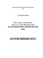Luận văn thạc sỹ - Phát triển thị trường công cụ ngoái hối phái sinh tại các ngân hàng thương mại Việt Nam
