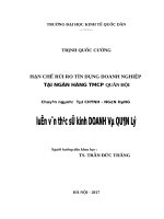 Luận văn thạc sỹ - Hạn chế rủi ro tín dụng doanh nghiệp tại Ngân hàng TMCP Quân đội