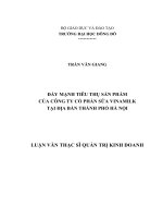 Luận văn thạc sỹ - Đẩy mạnh tiêu thụ sản phẩm của công ty cổ phần Sữa Vinamilk tại địa bàn thành phố Hà Nội