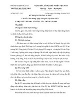 Kế hoạch tháng 11.2019.2020