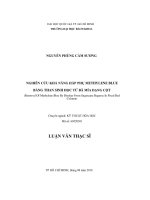 Nghiên Cứu Khả Năng Hấp Phụ Methylene Blue Bằng Than Sinh Học Từ Bã Mía Dạng Cột