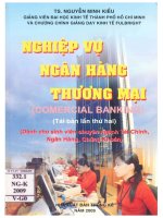 Nghiệp vụ ngân hàng thương mại = comercial banking   dành cho sinh viên chuyên ngành tài chính, ngân hàng, chứng khoán 