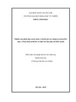 Nghiên cứu phân lập, tuyển chọn và đánh giá các chủng lactobacillus spp  có hoạt tính probiotic từ dịch âm đạo phụ nữ khỏe mạnh