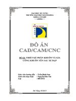 Đồ án Công nghệ CAD/CAM/CNC: Thiết kế phân khuôn và gia công khuôn yên sau xe đạp