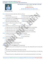 Đề thi chuẩn cấu trúc số 01 