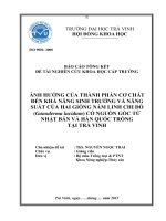 Ảnh hưởng của thành phần cơ chất đến khả năng sinh trưởng và năng suất của hai giống Linh chi đỏ (Ganoderma lucidum) có nguồn gốc từ Nhật Bản và Hàn Quốc trồng tại Trà Vinh