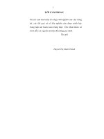 Nghiên cứu tổng hợp vật liệu MIL-101(Cr) biến tính bằng oxit sắt và ứng dụng