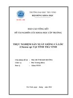 Báo cáo nghiên cứu khoa học cấp trường: Nghiên cứu sản xuất giống cá lóc Channa sp tại Trà Vinh