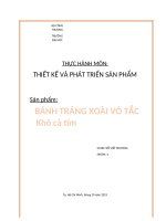 Báo cáo thực hành phát triển sản phẩm