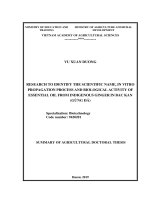 Nghiên cứu xác định tên khoa học, quy trình nhân giống in vitro và hoạt tính sinh học của tinh dầu cây gừng bản địa ở bắc kạn (gừng đá) tt tiếng anh 