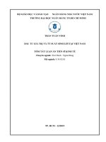 ĐẦU TƯ GIÁ TRỊ VÀ TỶ SUẤT SINH LỜI TẠI VIỆT NAM tt