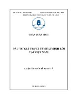 ĐẦU TƯ GIÁ TRỊ VÀ TỶ SUẤT SINH LỜI TẠI VIỆT NAM