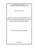 Nghiên cứu điều kiện nuôi sinh khối vi tảo Thalassiosira pseudonana để ứng dụng làm thức ăn cho ấu trùng tôm thẻ chân trắng