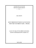 Quản trị rủi ro tín dụng tại ngân hàng TMCP việt nam thịnh vượng  VPBank (luận vă thạc sĩ) 