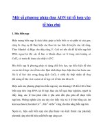 mot so phuong phap dua adn tai to hop vao te bao chu