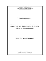 Nghiên cứu môi trường nuôi cấy in vitro cây bình vôi (luận văn thạc sĩ) 