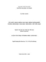 Tổ chức hoạt động dạy học hình thành biểu tưởng hình học cho học sinh đầu cấp tiểu học 